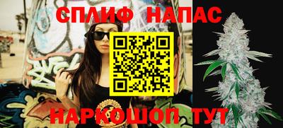 индика Новокубанск