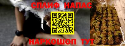 индика Новокубанск
