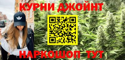 индика Новокубанск